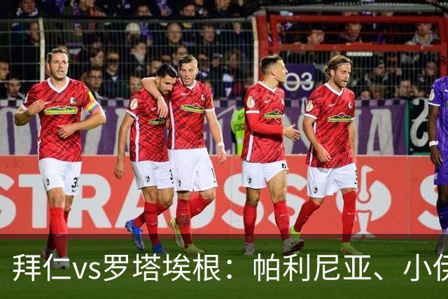 拜仁vs罗塔埃根：帕利尼亚、小伊布出战，比绍夫、帕维奇首发