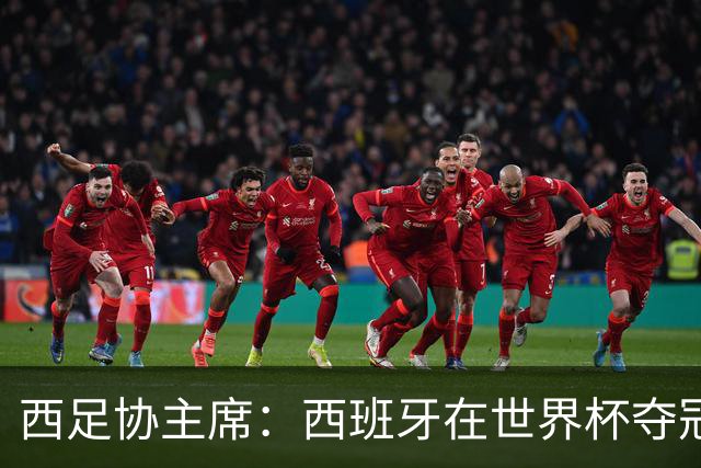 西足协主席：西班牙在世界杯夺冠让足球伸张了正义